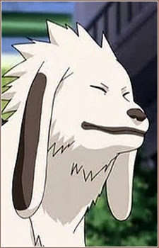 Character Akamaru